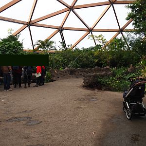 Visitor area in Amazonica (Nov 10th, 2018)