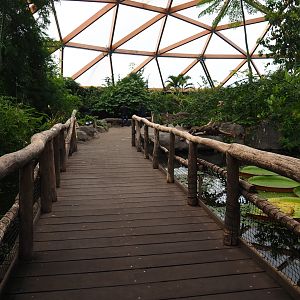 Bridge over the Victoria amazonica pond (Nov 10th, 2018)