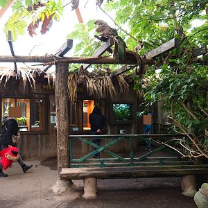 Terrariums and raising rooms area (Nov 10th, 2018)