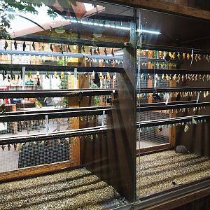 Chrysalis hatching room (Nov 10th, 2018)