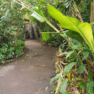 View in Amazonica (Nov 10th, 2018)