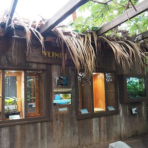 View of raising rooms (Nov 10th, 2018)