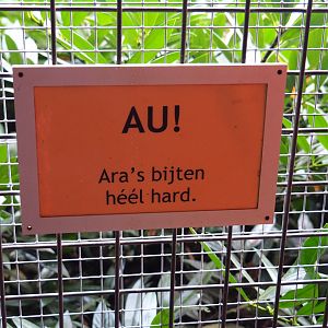 Auch, macaws bite really hard sign (Nov 10th, 2018)