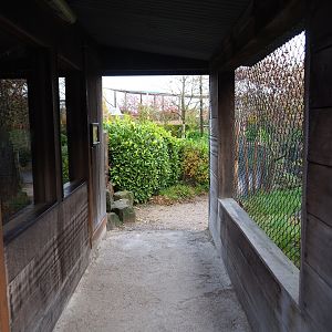 Guinea pig shack passage (Nov 10th, 2018)