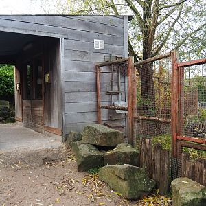 Guinea pig shack (Nov 10th, 2018)