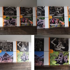 Historical comparison signs underneath railway bridge passage (Nov 10th, 2018)