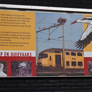 Sign on white stork nests at the Rotterdam Zoo (Nov 10th, 2018)