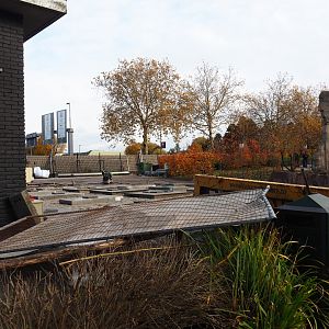 Construction site for new gift shop building (Nov 10th, 2018)