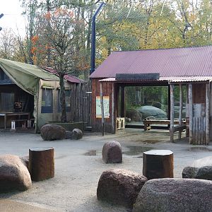 Asiatic lion viewing areas (Nov 10th, 2018)