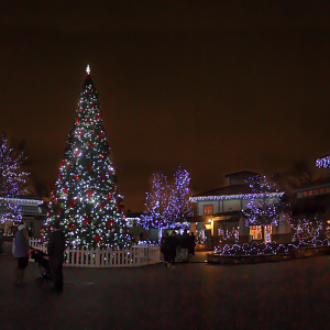 Festival of Lights 2018 - Historic Vine Street Village