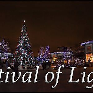 Zoo Tours: The Festival of Lights
