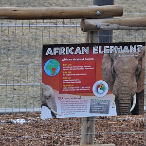 Potential Signage for Adventure Africa: Elephants