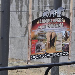 Potential Signage for Adventure Africa: Elephants