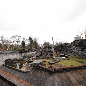 Malayan sun bear enclosure