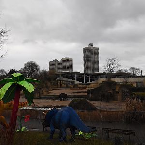 Part of the Elephant enclosure