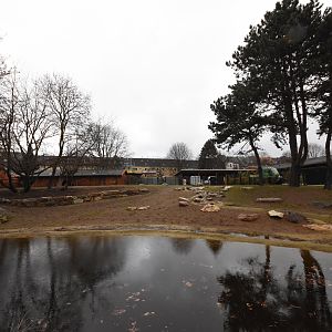 New banteng enclosure