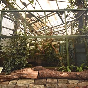 Weddell tamarin enclosure