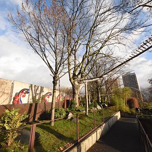 New Red panda enclosure