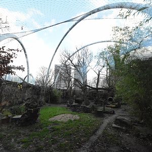 Chinese leopard cage