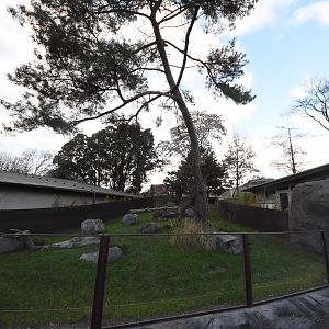 New red panda enclosure