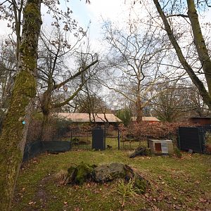 Southern pudu enclosure