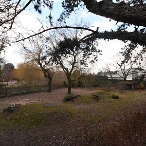 Former saiga enclosure
