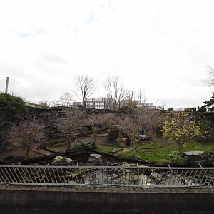 Grizzly bear enclosure