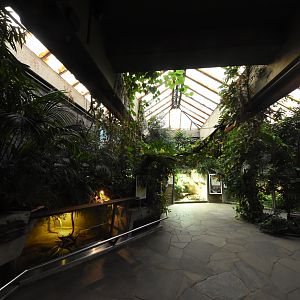 Terrarium section