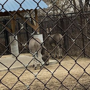Farah and Luana | Henry Vilas Zoo