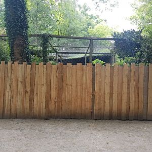 Wall to cover-up aviary (re)construction