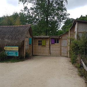 Houses Indian village