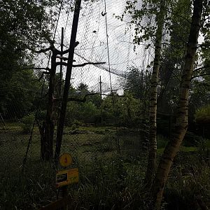 Enclosure Snow leopard