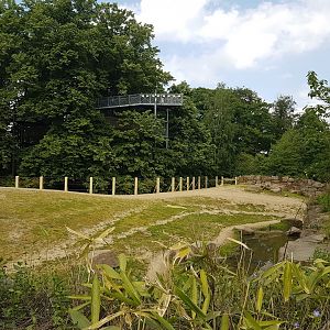 Part Elephant out-door enclosure