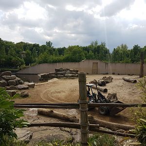 Part Elephant out-door enclosure