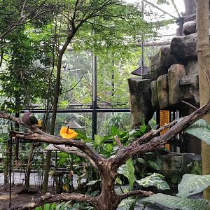 Walkthrough aviary