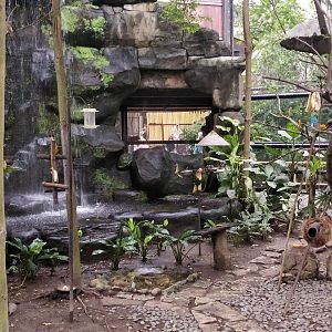Walkthrough aviary