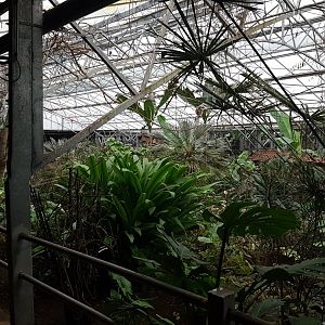 View into the Tropical Hall