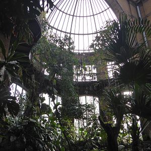 Interior of Butterfly House