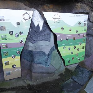 Educational display representing altitude-based ecological niches in mountain fauna.