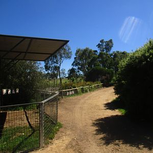 Pathway to Waterbirds