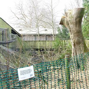 White-faced Saki outdoor enclosure, December 2018