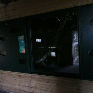 New Pygmy Slow Loris enclosure, December 2018