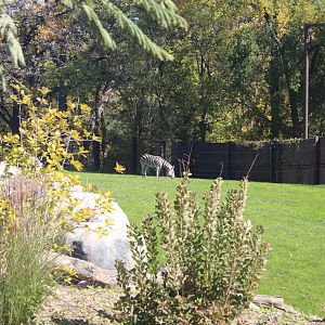 Overlook from African Lodge