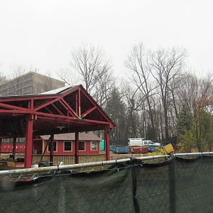 Pride of Africa construction update
