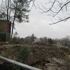 Wild Asia construction update