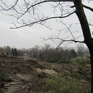 Wild Asia construction update