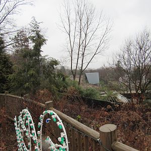 Wild Asia construction update