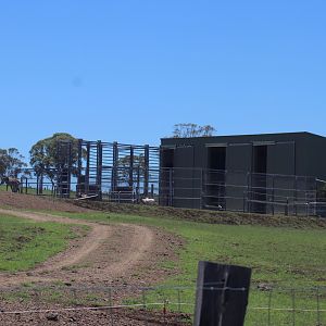 Giraffe Holding Area