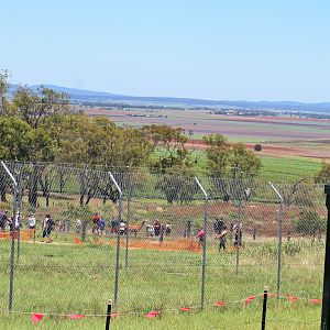 View from Cheetah Enclosure
