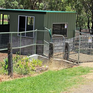 Pygmy Hippo Viewing Area